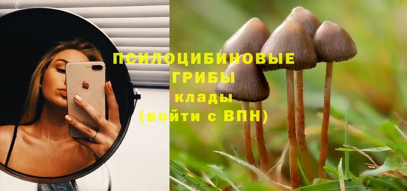 Псилоцибиновые грибы Magic Shrooms  mega ссылка  Задонск 